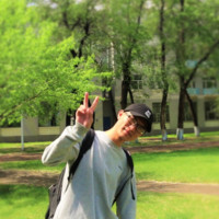 道发发