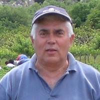 Ante Marinovic