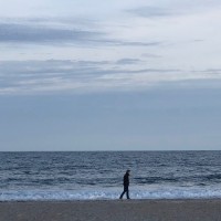 Craig Moloney, AIA, NCARB, LEED AP