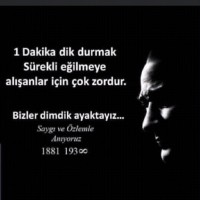 İsmail Alpaydin