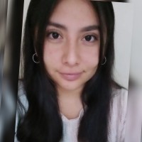 Andrea Fernanda Mendez Vizcardo