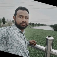 Shek Farid