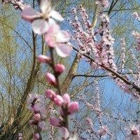 陈德和