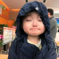 金晓娟