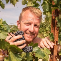 Luca Ferraris