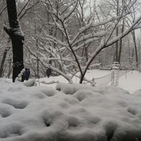 김민한