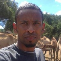 Abdi Jiijiile