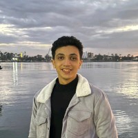 hossam eldin mostafa