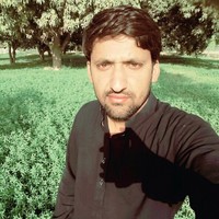 Jam Zulfiqar Ali