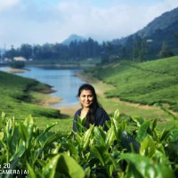 Usha Thulasiraman (Sg Dpass Holder) Software Test Engineer