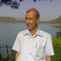 sayed z shah