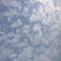 罗尹均
