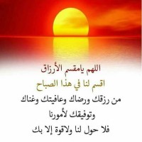 الباشا نور