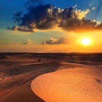 Noor Al Hadhrami