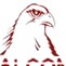 Falcon Hunter Ji