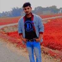 Vikash Kumar Ray