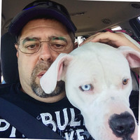 Dave Pellegrin