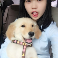 常霞飞