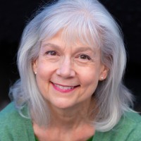 Navida Stein