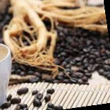 RAPPRESENTANZE Caranci