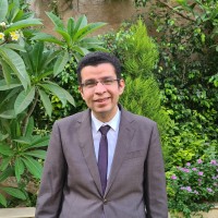 Aly Ashour, PMP