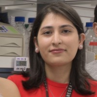 Pegah Rahimizadeh