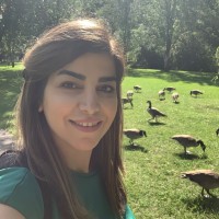 Samira Najafzadeh