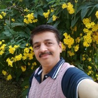 Jatin Trivedi