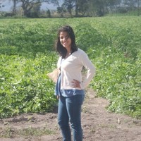 Yesi Oviedo