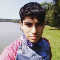 Luís Fernando Ferreira Mendonça