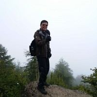 Tao Song