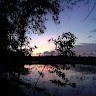 Tridib Halder