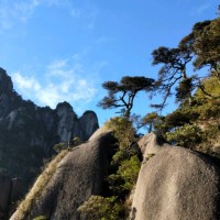 马振东