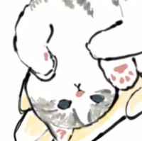 赵子寒