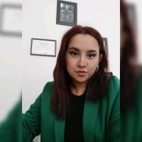 Aleyna Nur Doğan