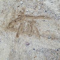 Carolina Ipinza Artacho