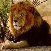 Raúl Humberto Solis Torre