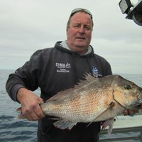 Tony Whiley