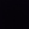 Black Manba