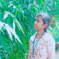 Rohini P R