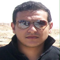 Mohmed Arafa Hashem