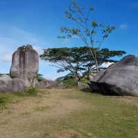 Tracey Hilary Dupres