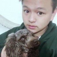 陈海鸿