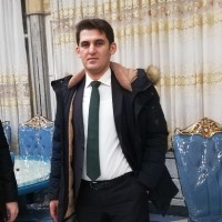 seyed mohammad babaei