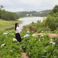 Nhi Phan