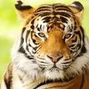 Jagadeesh (jag's)