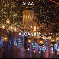 Alaa Ali Alqanam