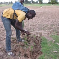 Alassane Ndiaye