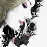 winny lim