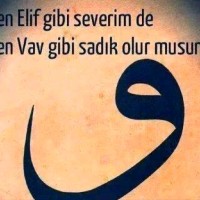 Engin Çakal
